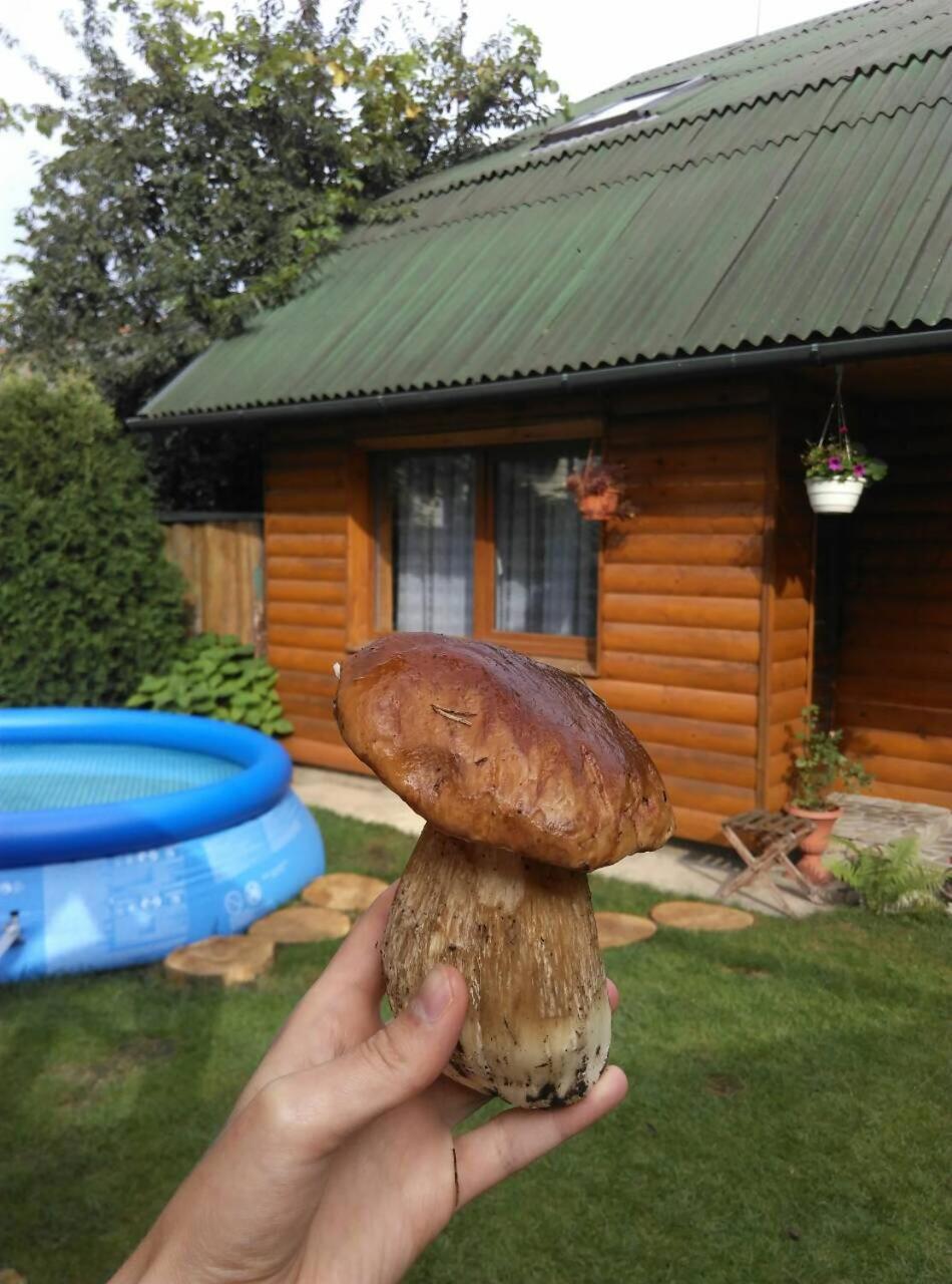 コロムィーヤFriendly Houseアパートメント エクステリア 写真